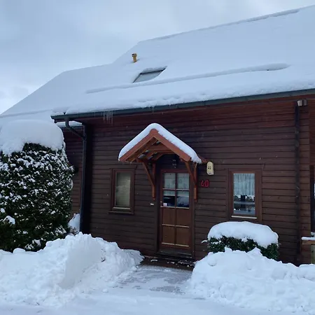 Blauvogel Blauvogel 040 * Hasselfelde