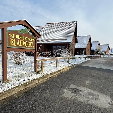 Blauvogel Blauvogel 040 *