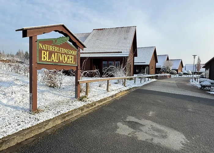 Blauvogel Blauvogel 040 *